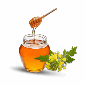 সরিষা ফুলের মধু || Mustard Honey