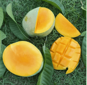 গোবিন্দভোগ আম